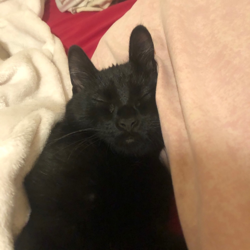 Meet your Posher, Jaycie